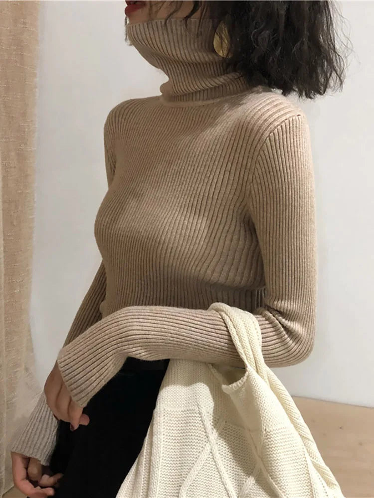 Turtleneck Sweater